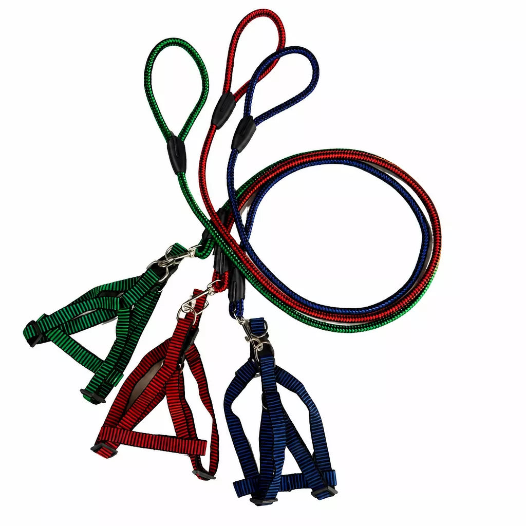 Adjustable Nylon Dog Harness and Leash Set