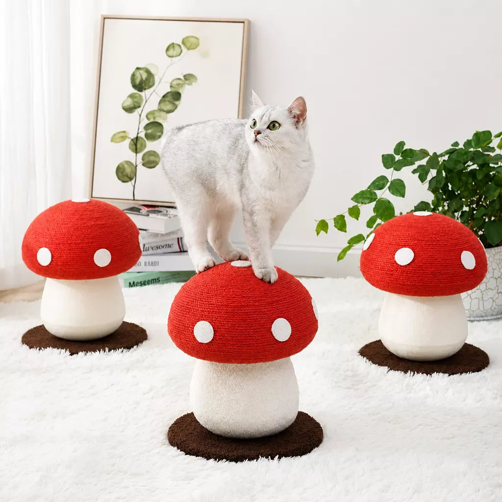 Mushroom Cat Scratching Post and Cat Toy