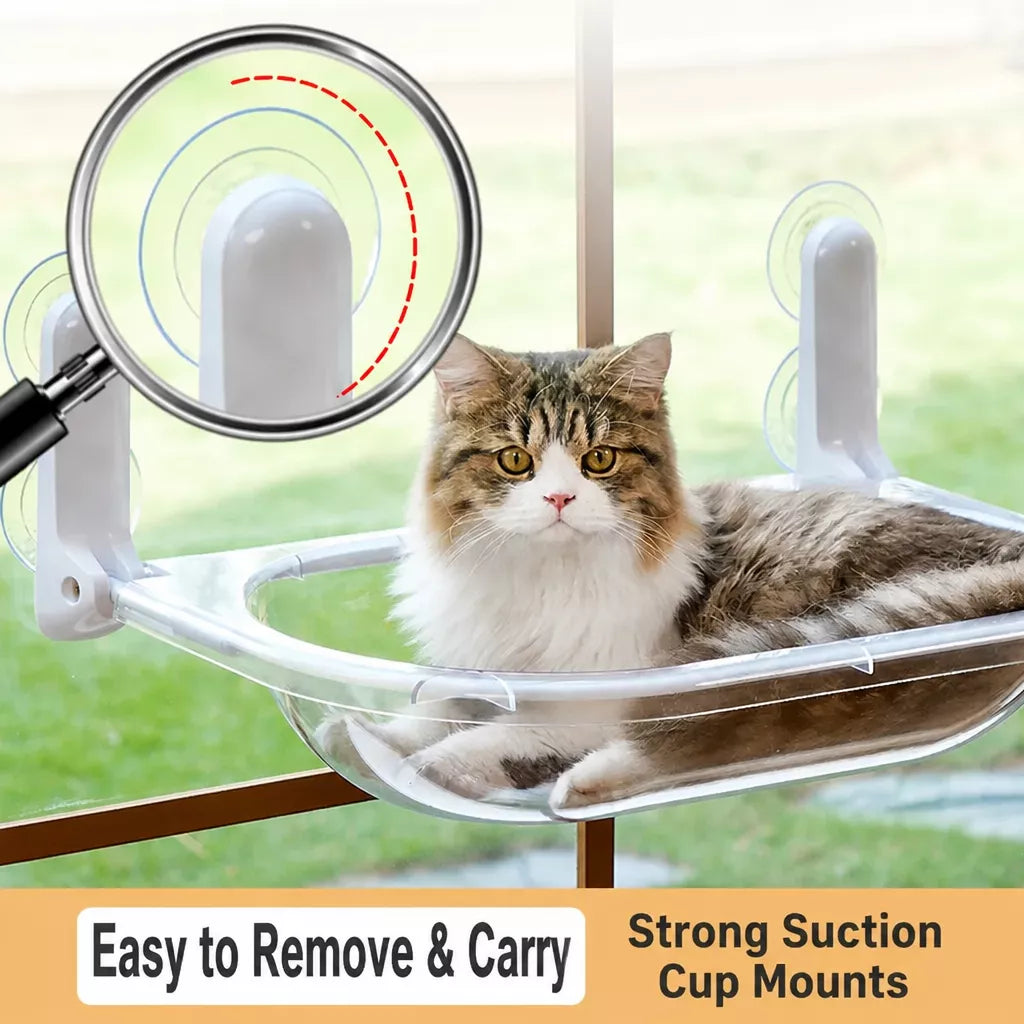 Foldable Transparent Cat Window Capsule Hammock