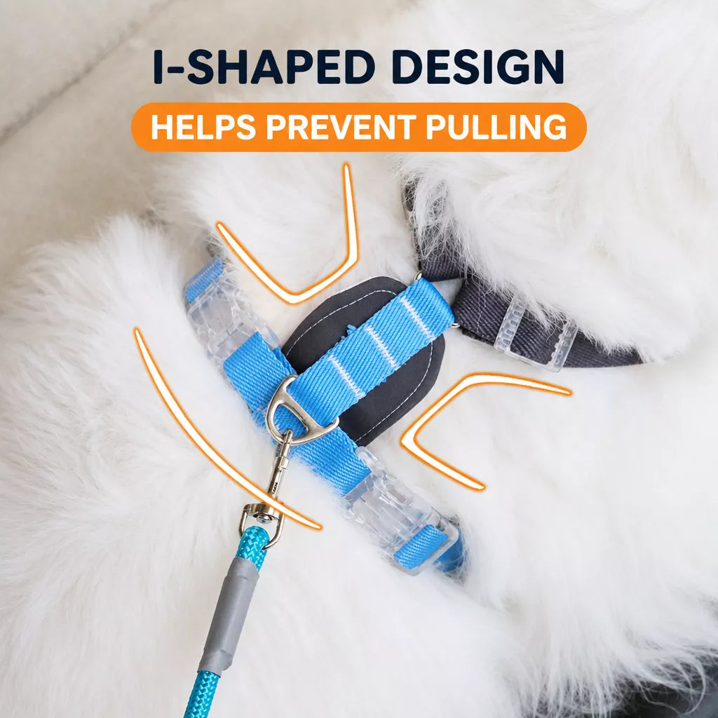 Vest-Style Dog Harness with Leash for Small to Medium Dogs