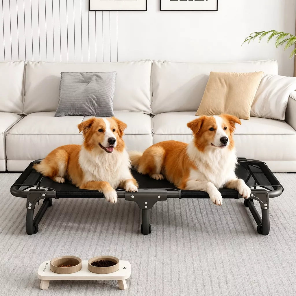 Elevated Foldable Mesh Dog Bed