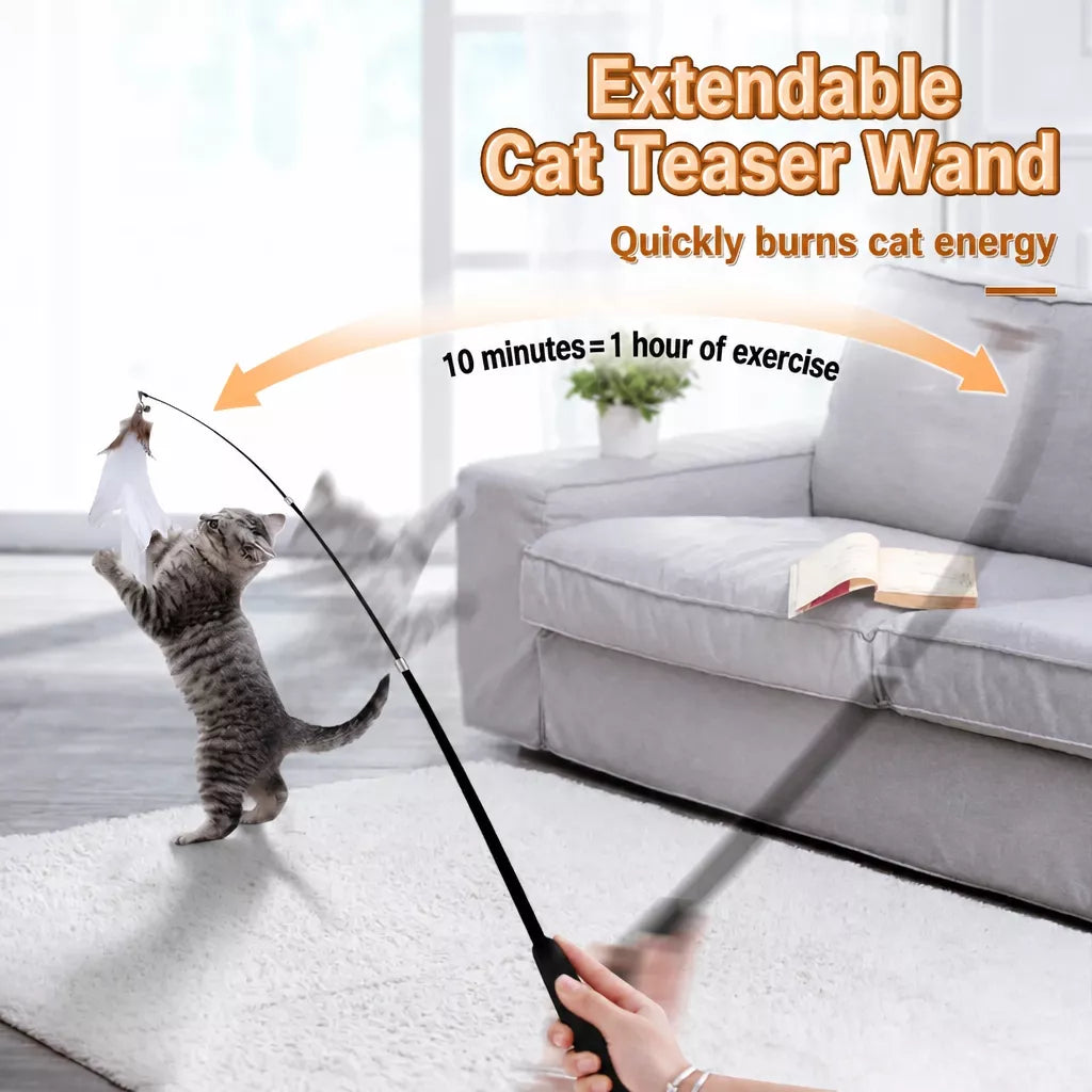 Cat Teaser Wand with Feather Replacement Toy Heads