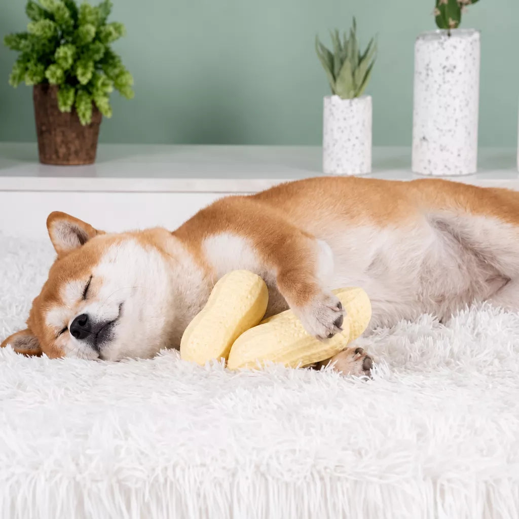 Peanut-Shaped Squeaky Dog Toy