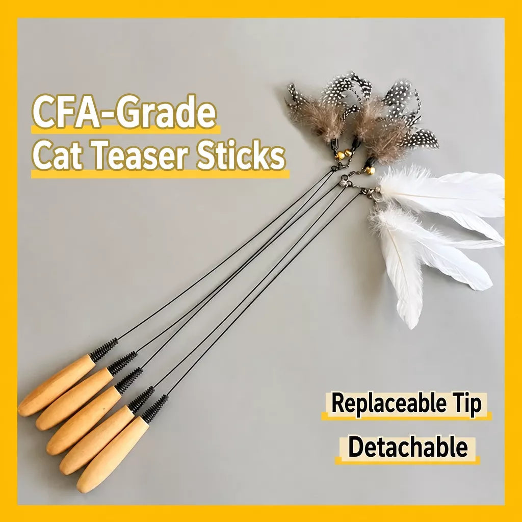 Interactive Cat Teaser Wand with Feather Replacement Heads