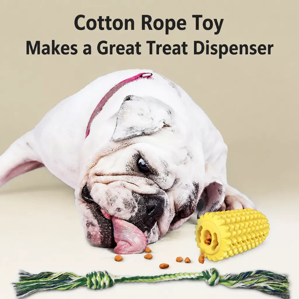 Corn-Shaped TPR Dog Chew Toy with Optional Squeaker