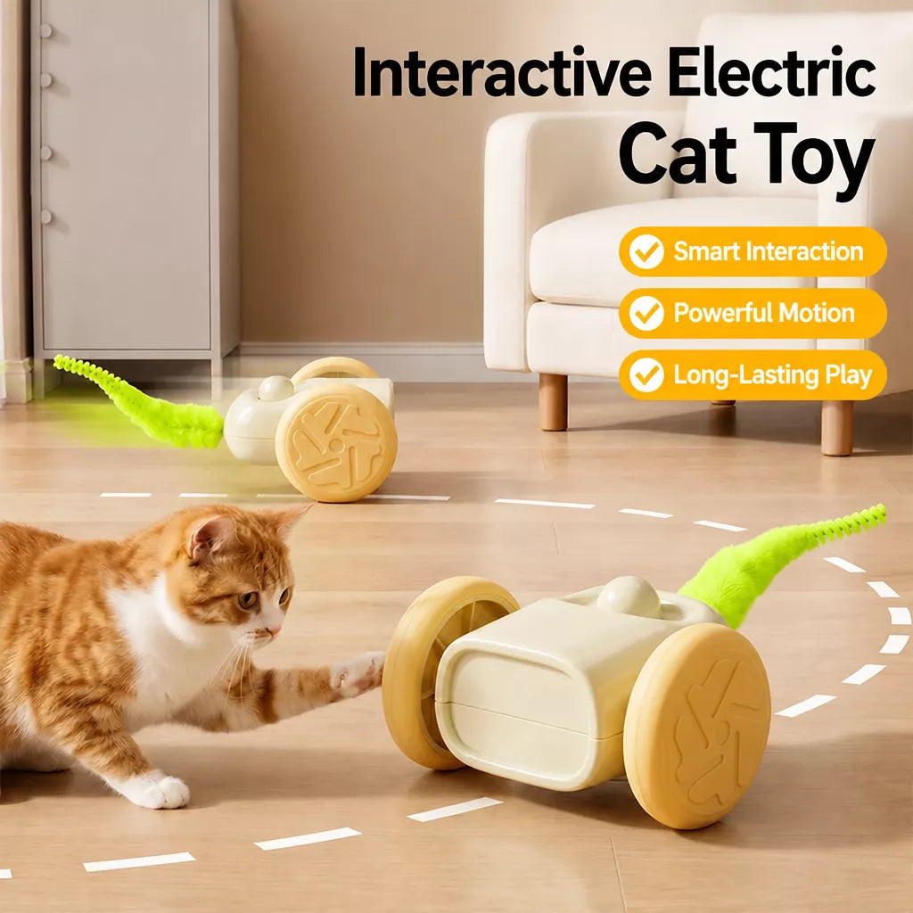 Rechargeable Interactive Cat Toy – Mouse & Car Designs