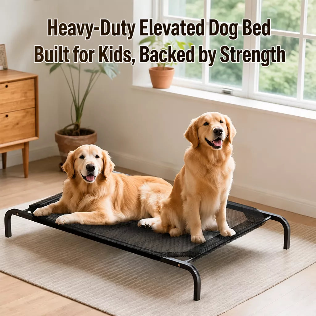 Elevated Mesh Dog Bed with Metal Frame