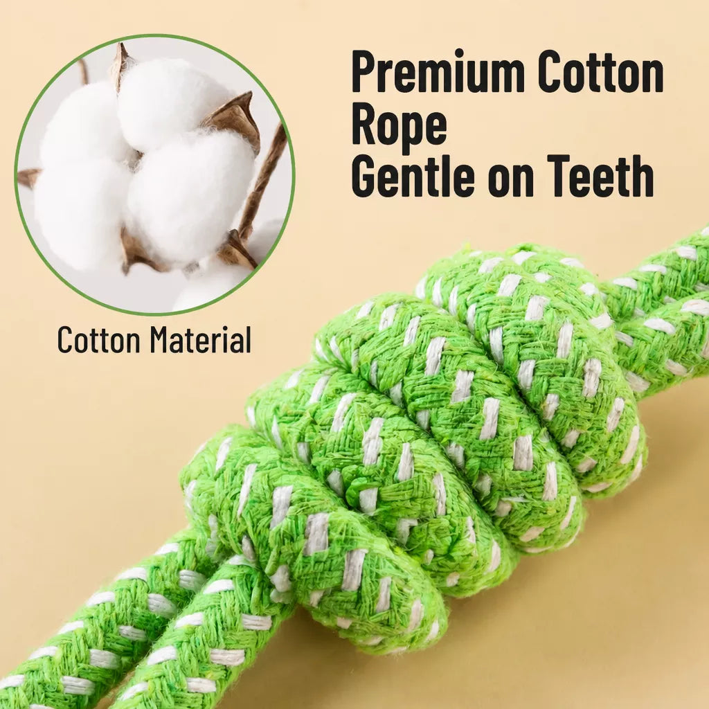 Squeaky Chew Toy Sets for Small Dogs
