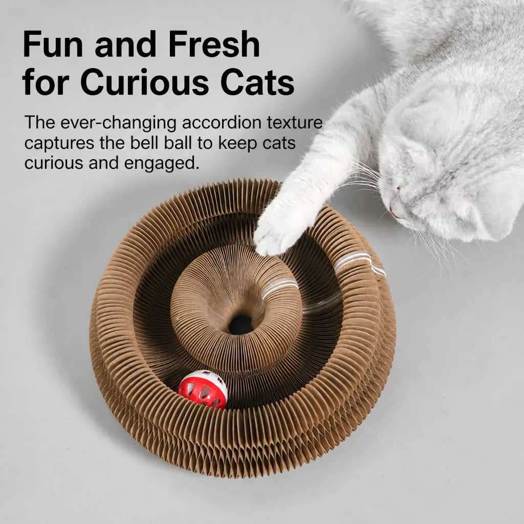 Foldable Accordion Cat Scratcher Toy with Bell