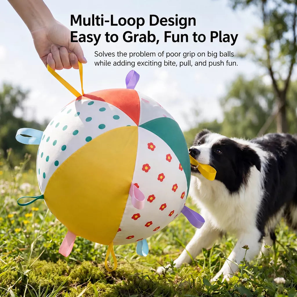 Oversized Interactive Dog Toy Ball for Medium & Large Dogs