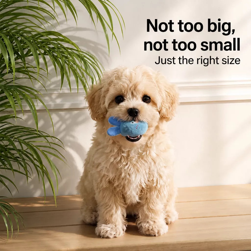 Squeaky Elastic Ball Dog Toy