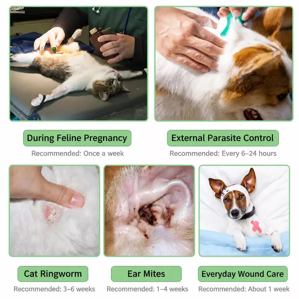Pet Elizabethan Cone Collar