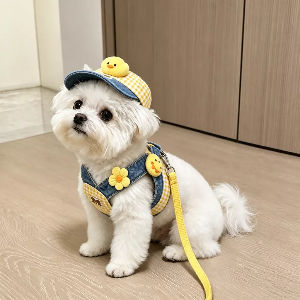 Pet Harness Vest and Hat Sets with Leashes