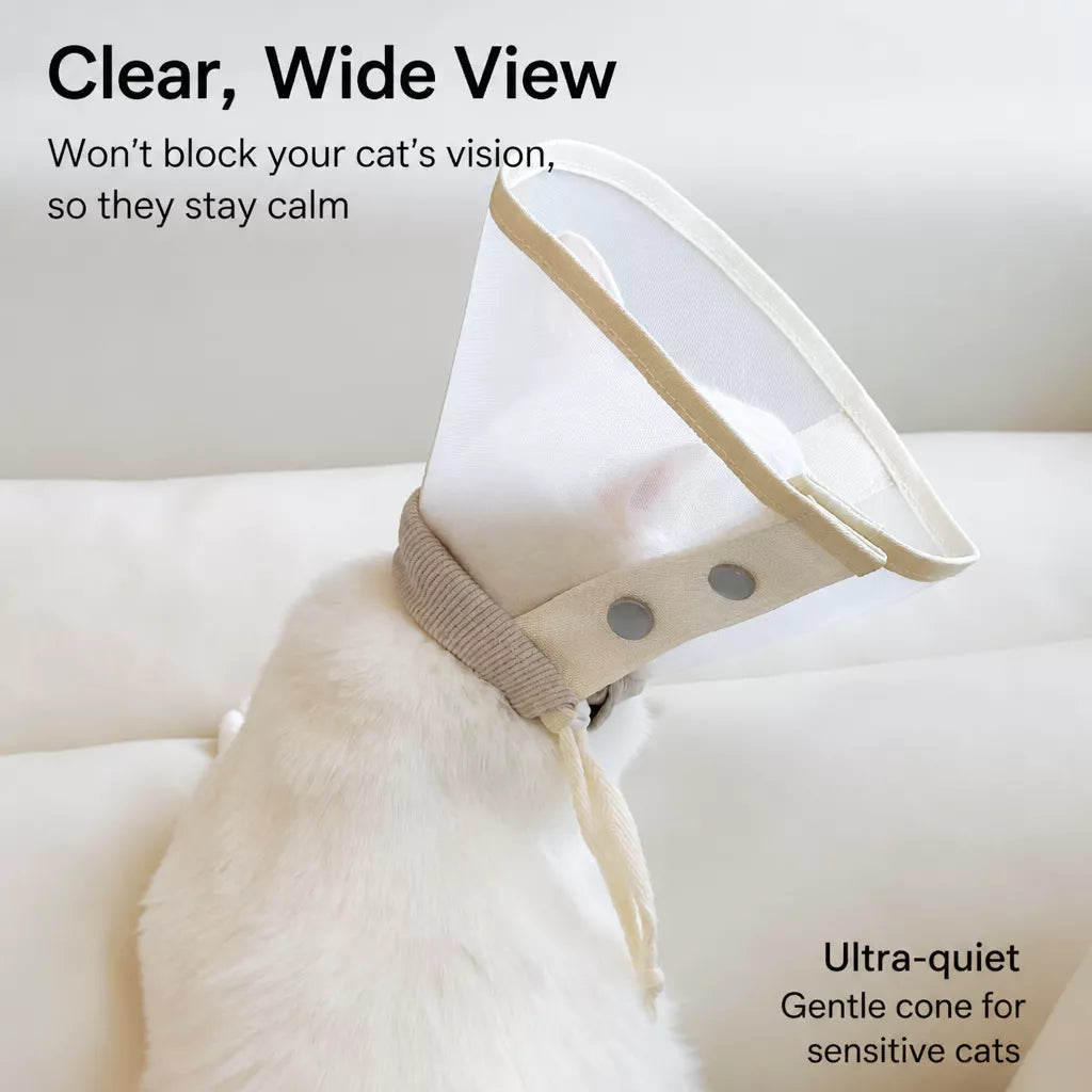 Lightweight Plastic Recovery Cone for Dogs and Cats