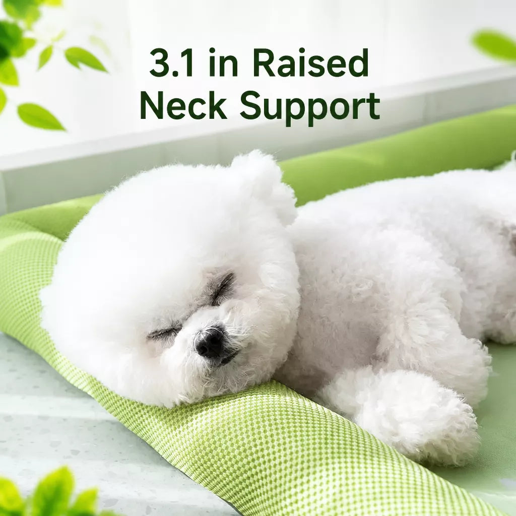 Removable Washable Fabric Dog Bed for Year-Round Use