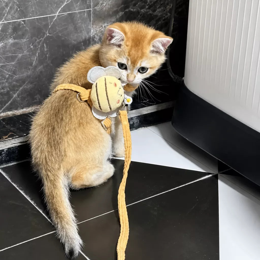 Kitten Harness and Leash for Small Pets