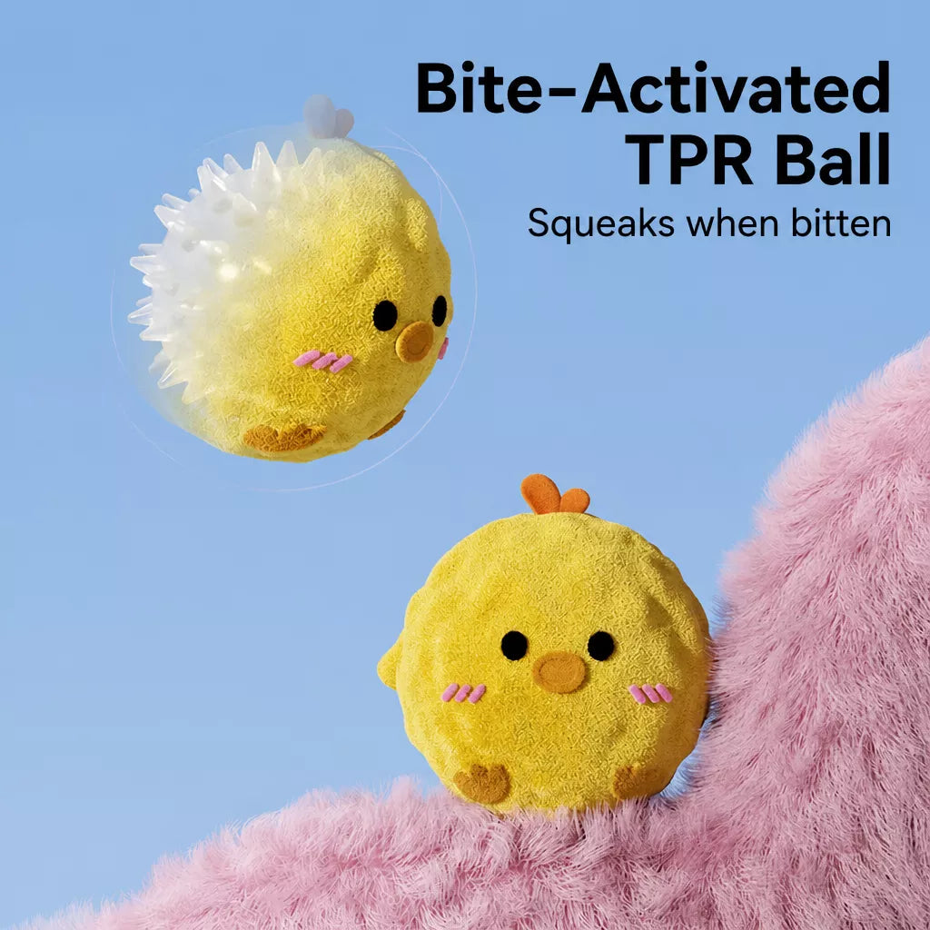 Cartoon Spiky Squeaky Ball Dog Toy