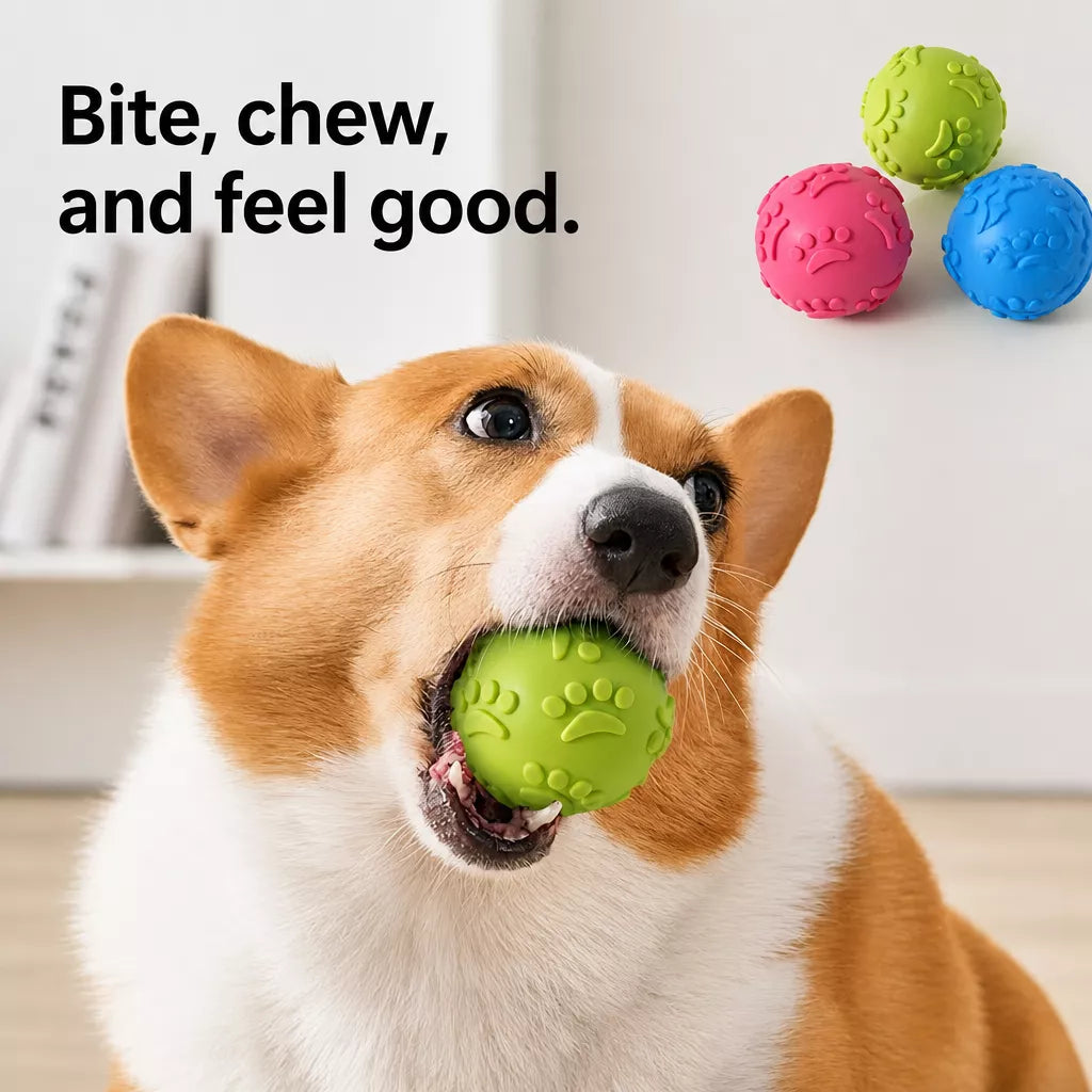 TPR Paw Print Squeaky Ball Dog Toy for Interactive Play