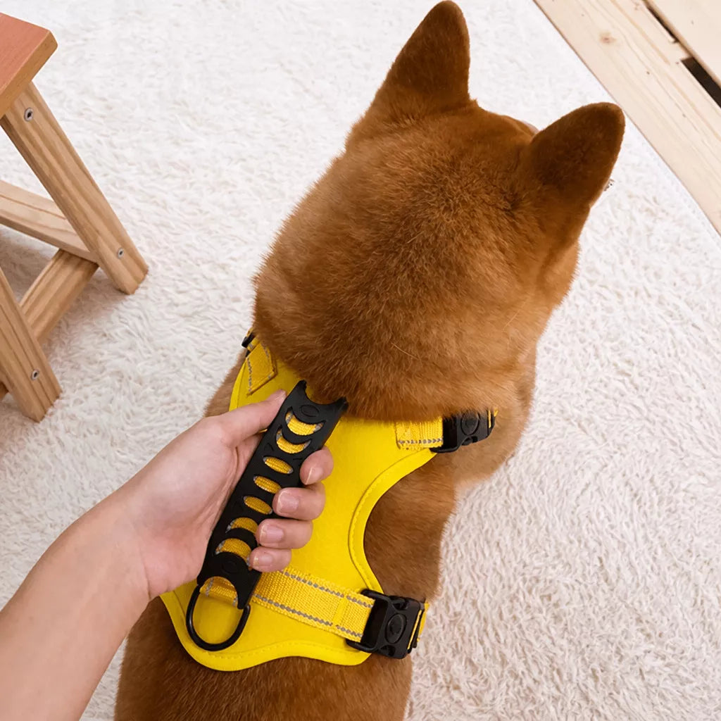 Dog Vest Harness and Leash for Everyday Walks
