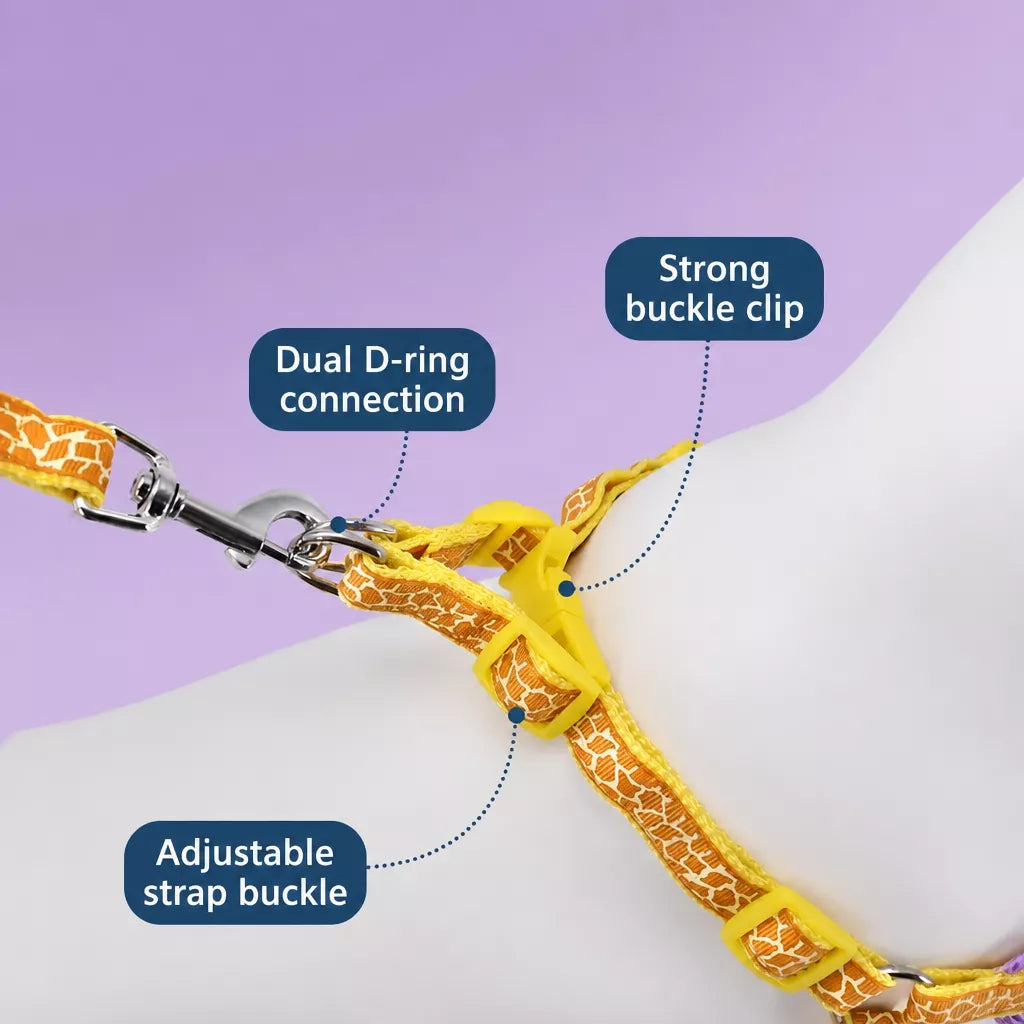 Small Dog Vest Harness and Leash