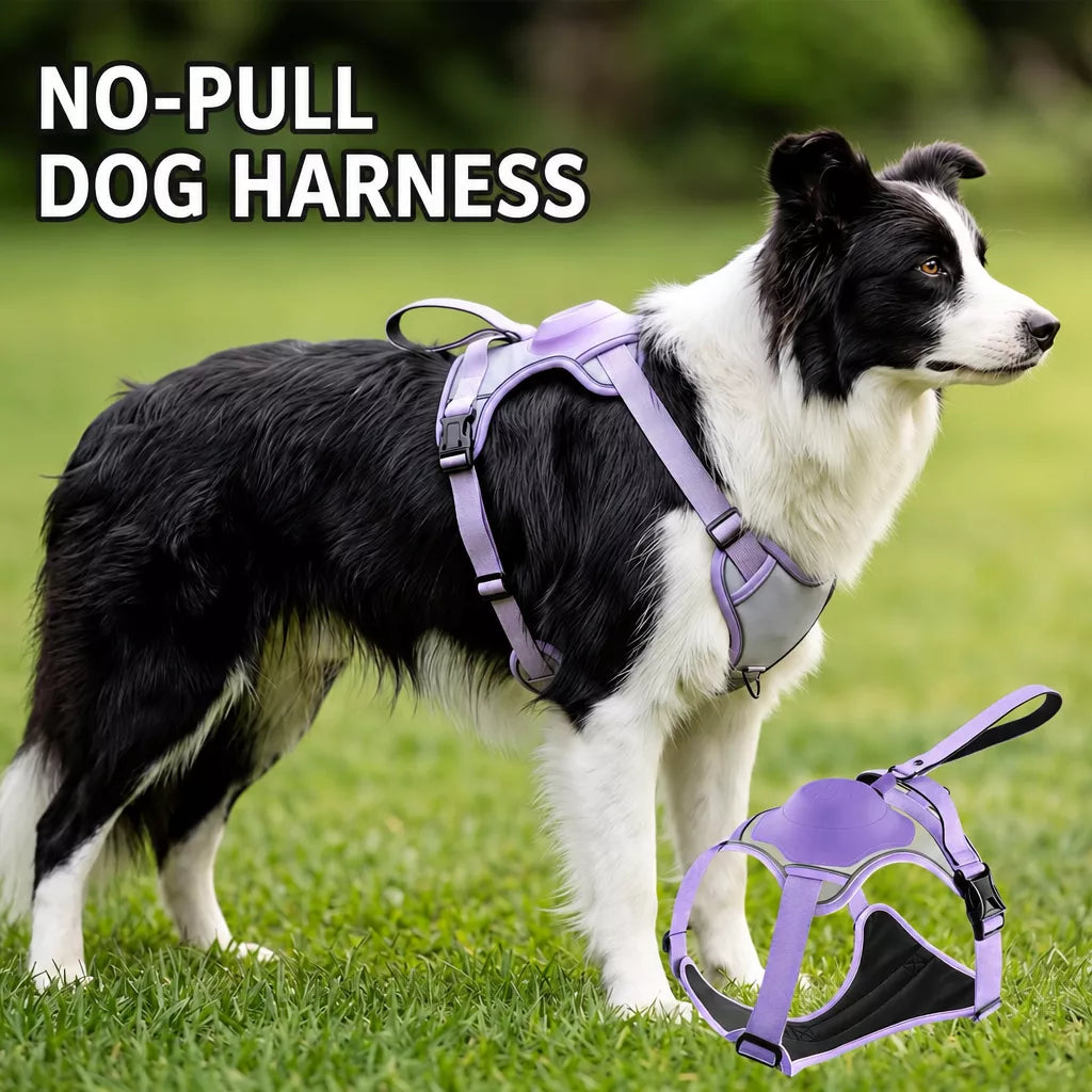 All-in-One Pet Vest Harness and Leash