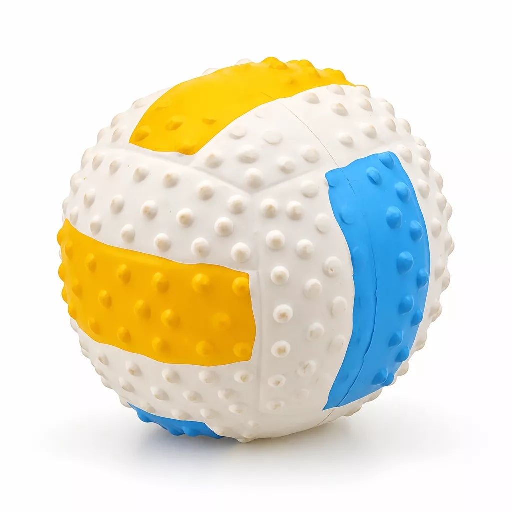Squeaky Vinyl Sports Ball Toys for Small and Medium Dogs
