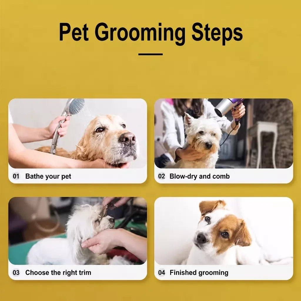 Stainless Steel Pet Grooming Shears