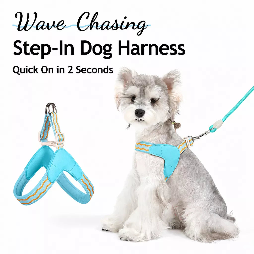Y-Shaped Dog Harness and Leash for Small to Medium Dogs
