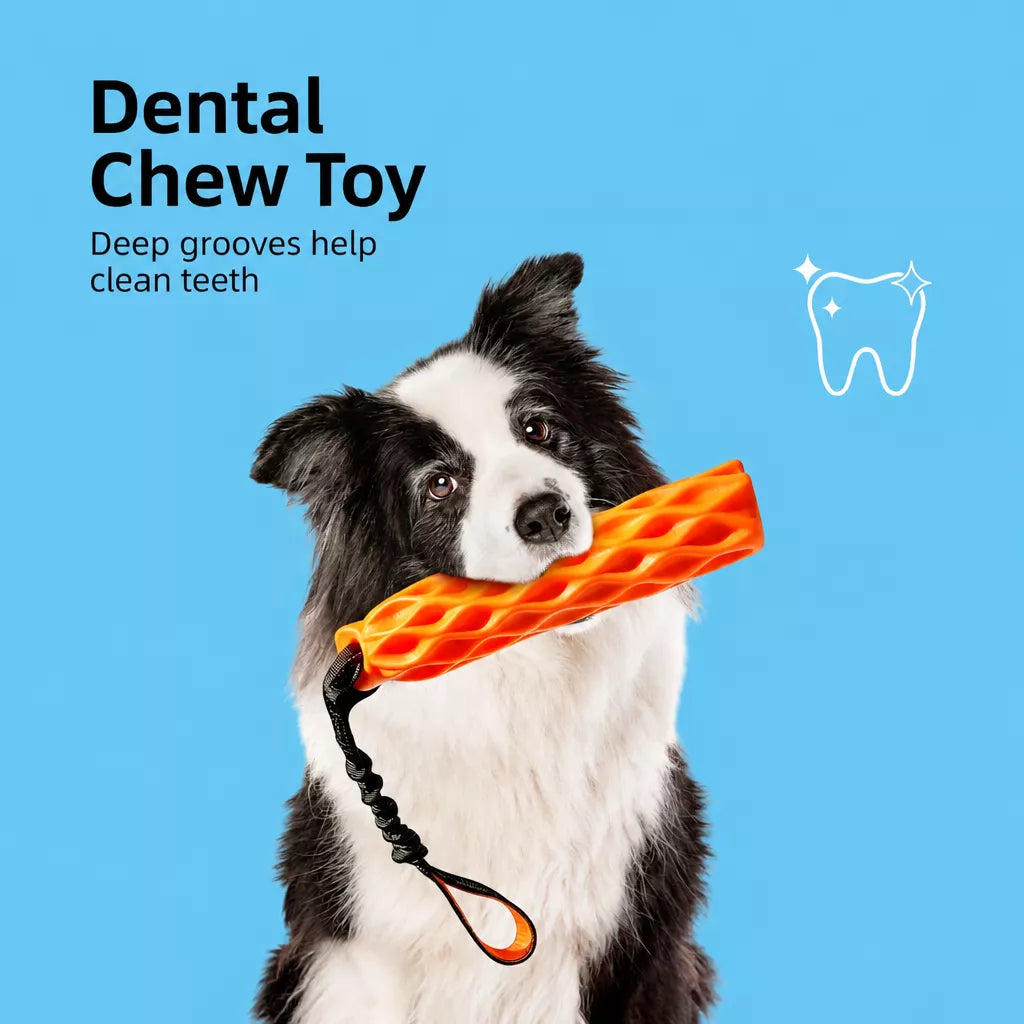 Textured Silicone Squeaky Tug Toy for Dogs