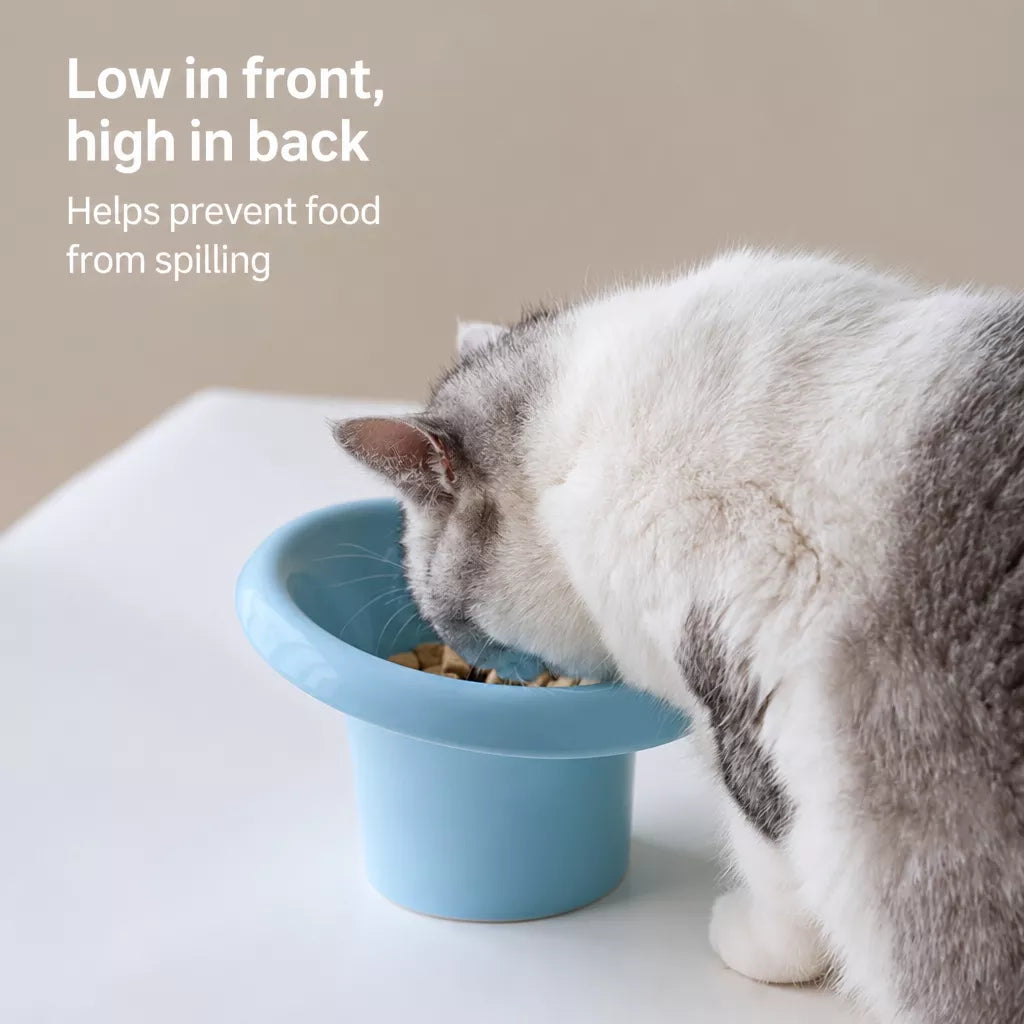 Fafa Ceramic Pet Bowl