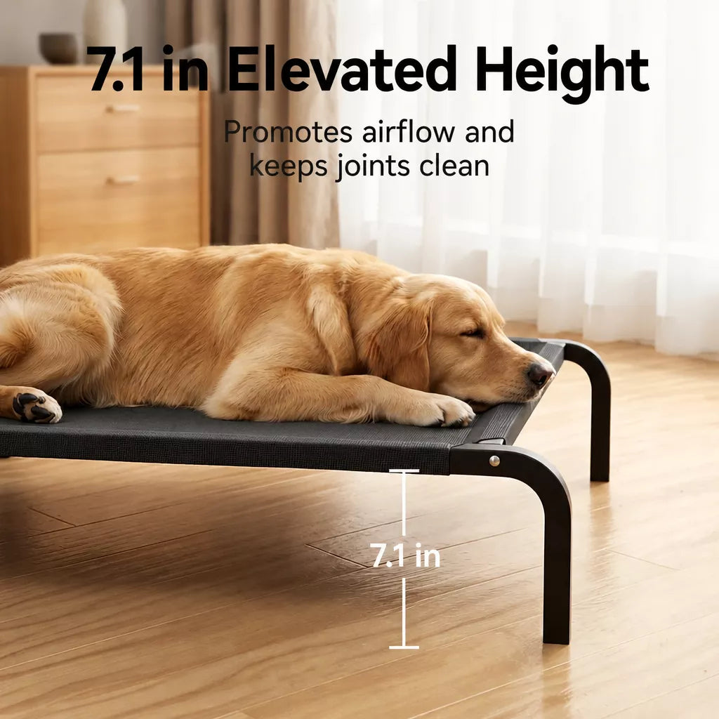 Elevated Mesh Dog Bed with Metal Frame