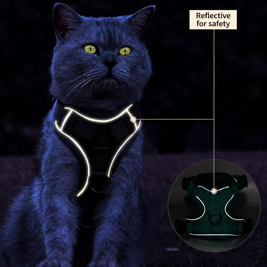 Cat Harness and Leash