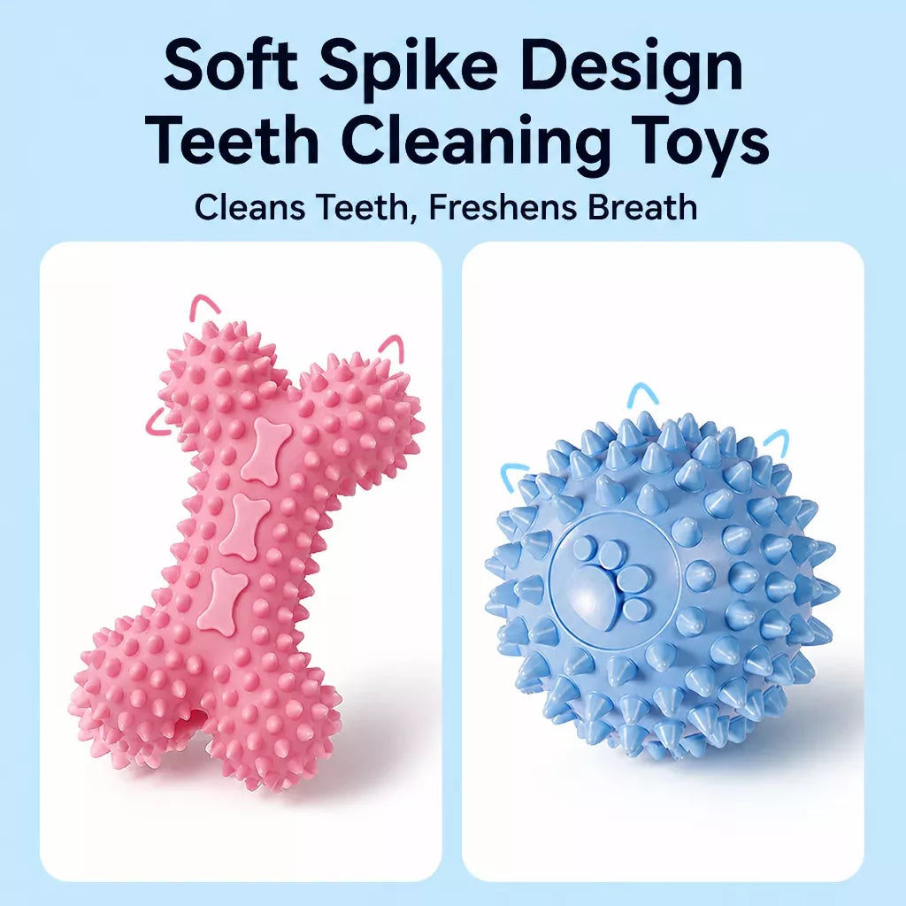 Squeaky Chew Toy Sets for Small Dogs