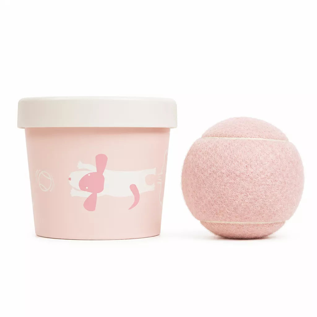 Ice Cream-Style Interactive Dog Ball with Storage Box