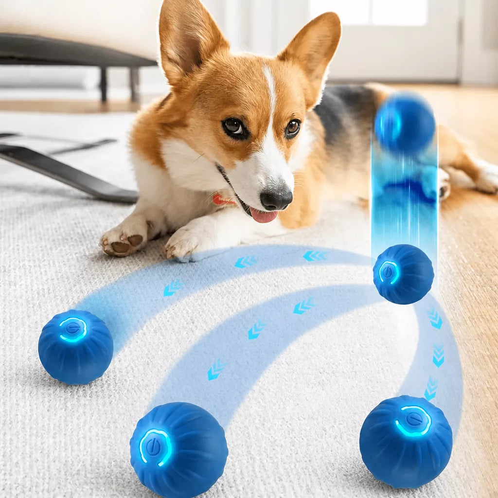Interactive Electric Squeaky Bouncing Ball Toy for Dogs