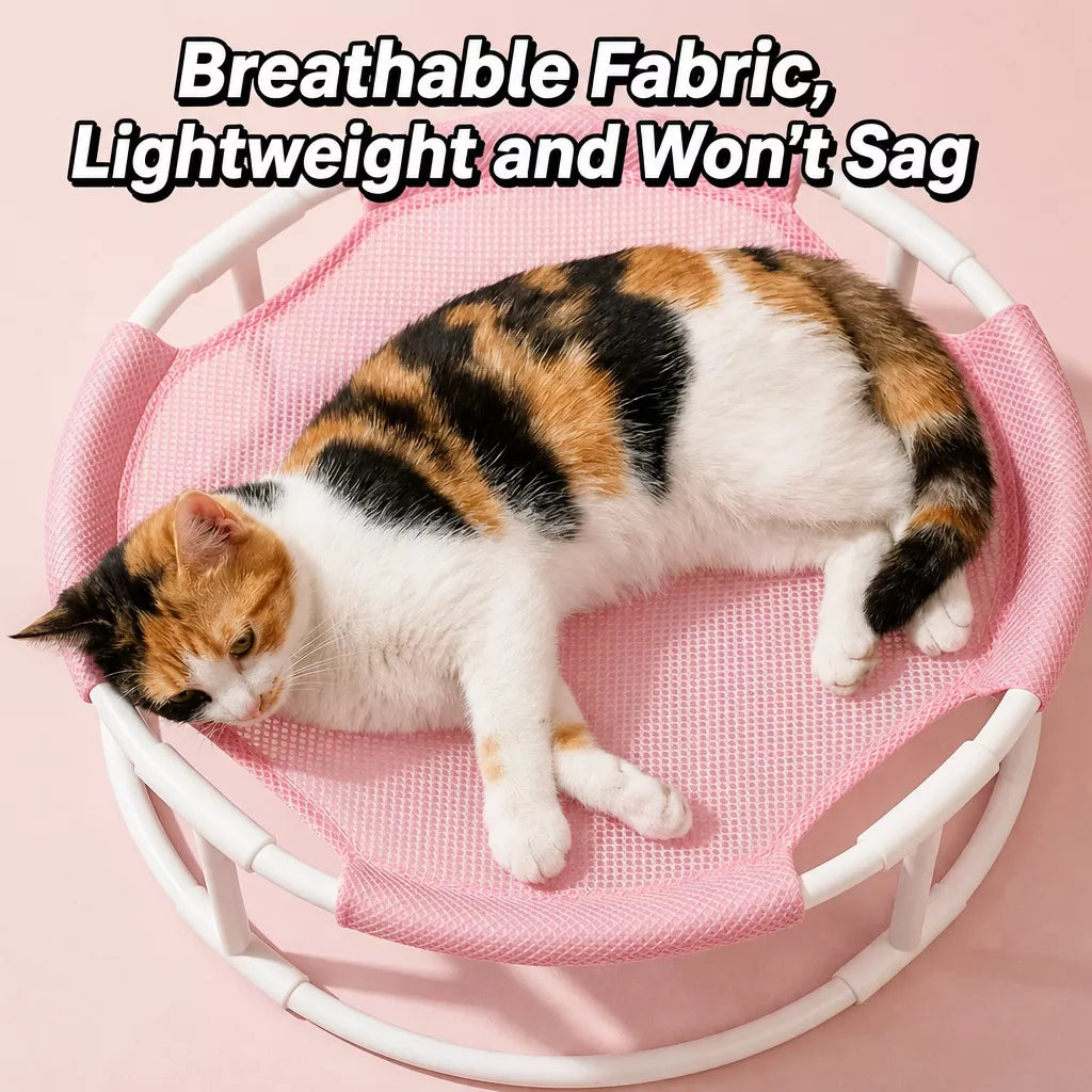 Elevated Round Cat Bed with Breathable Nylon Surface