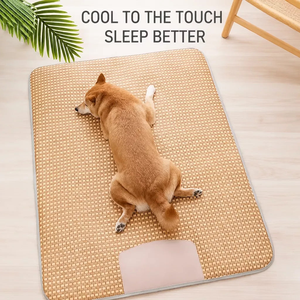 Foam Pet Mat for Cats and Dogs