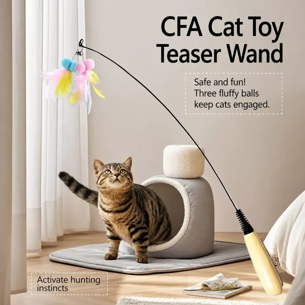Interactive Cat Teaser Wand with Feather Replacement Heads