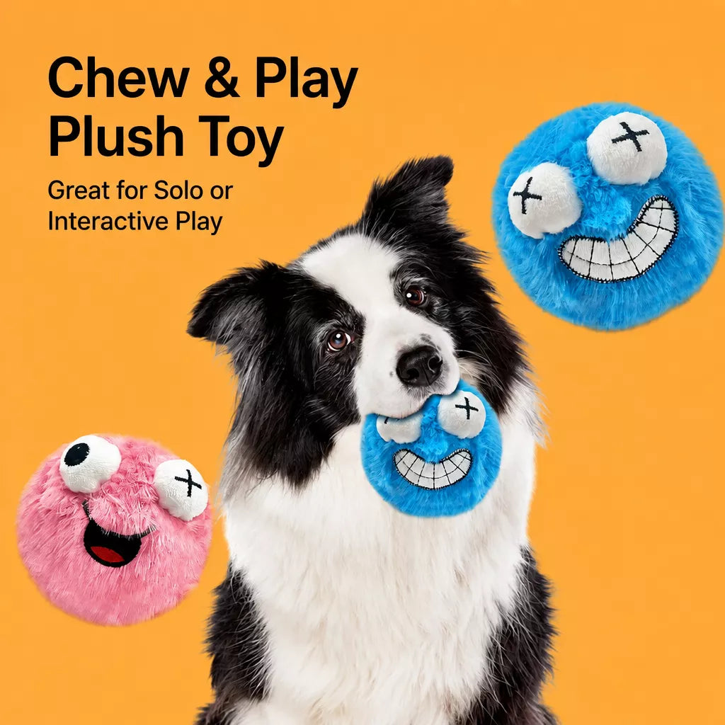 Plush Squeaky Ball Dog Toy