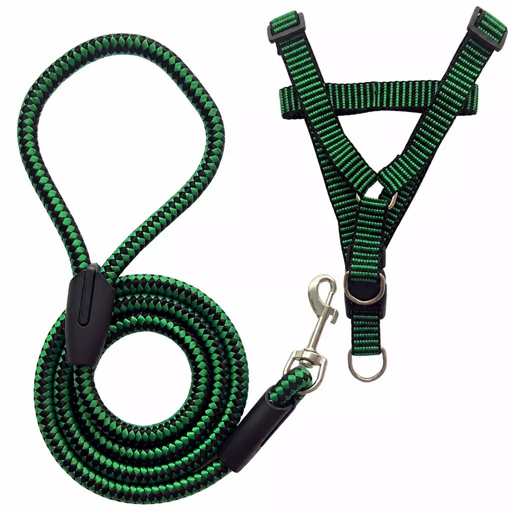 Adjustable Nylon Dog Harness and Leash Set