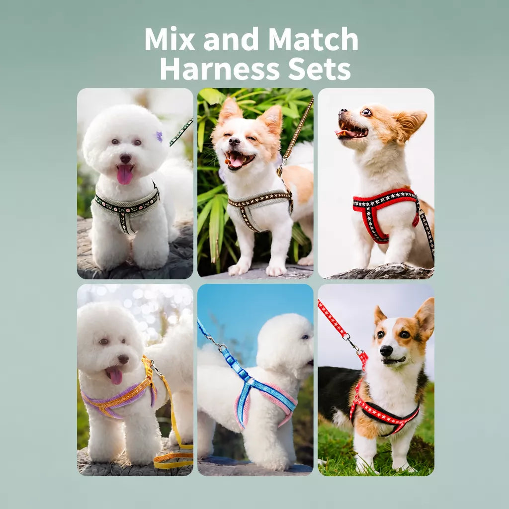 Small Dog Vest Harness and Leash