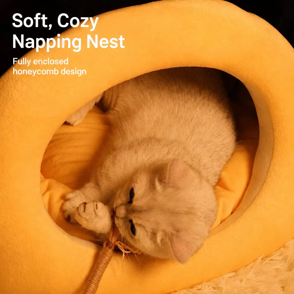 Enclosed Tent-Style Pet Bed for Cats and Small Dogs