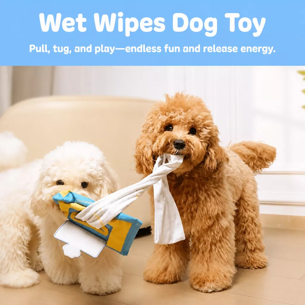 Interactive Tissue-Pulling Dog Toy with Treat Pocket and Squeaker