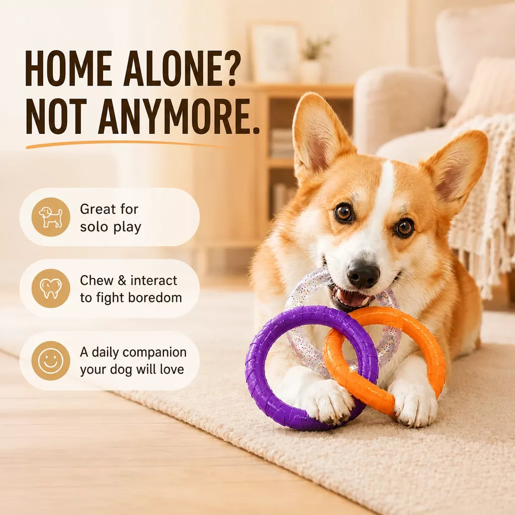Interactive Dog Tug Ring Toy
