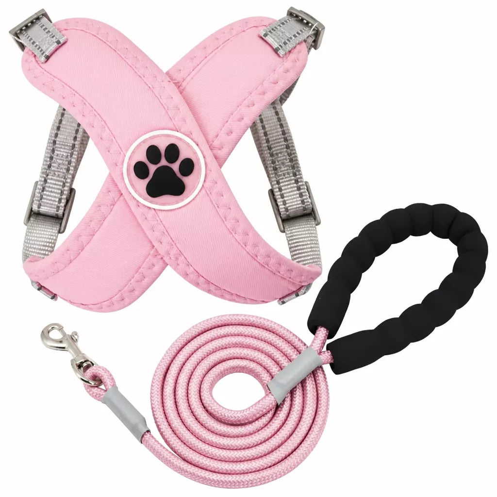 X-Style Pet Harness and Leash