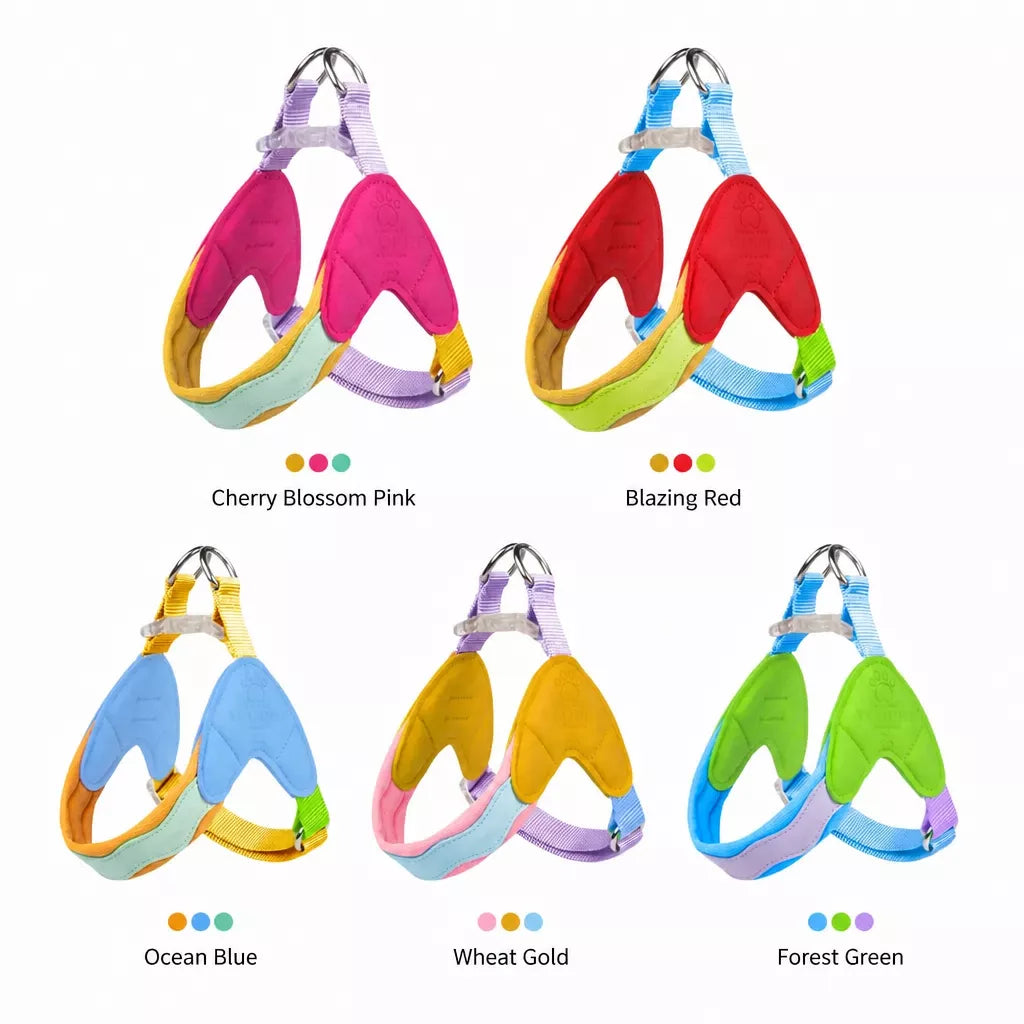 Y-Front Dog Harness with Matching Leash