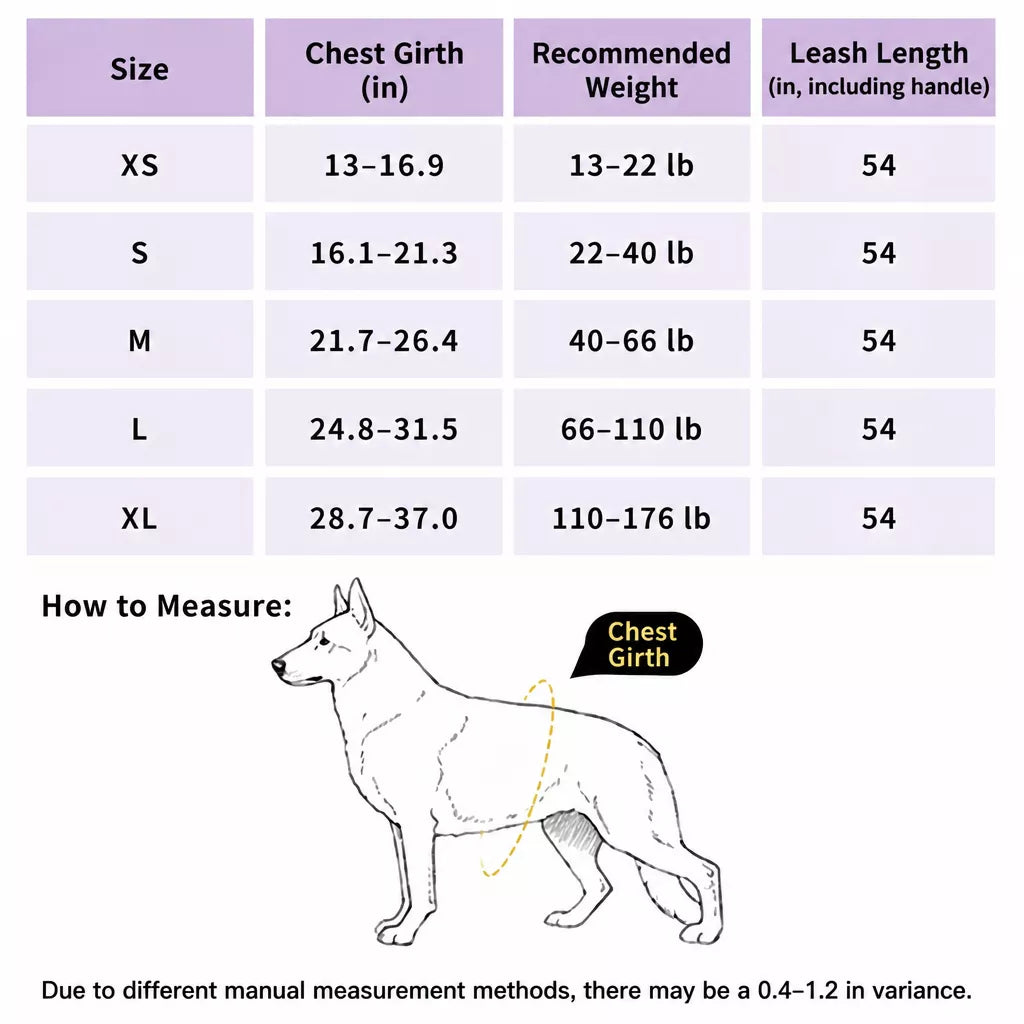 All-in-One Pet Vest Harness and Leash