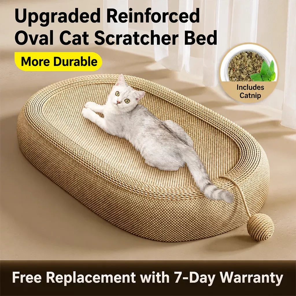 Sisal Cat Scratcher with Interactive Toy