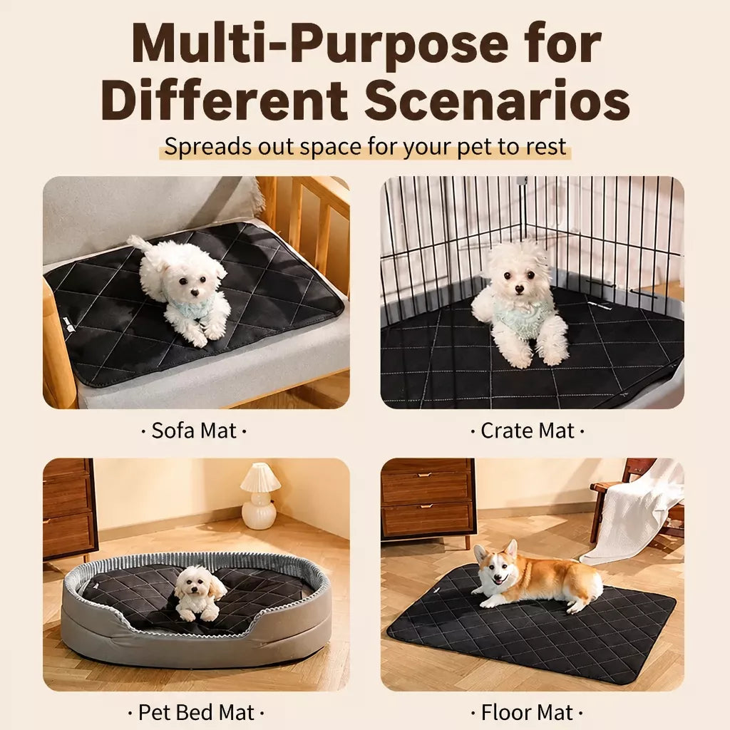 Foam Dog Crate & Floor Mat