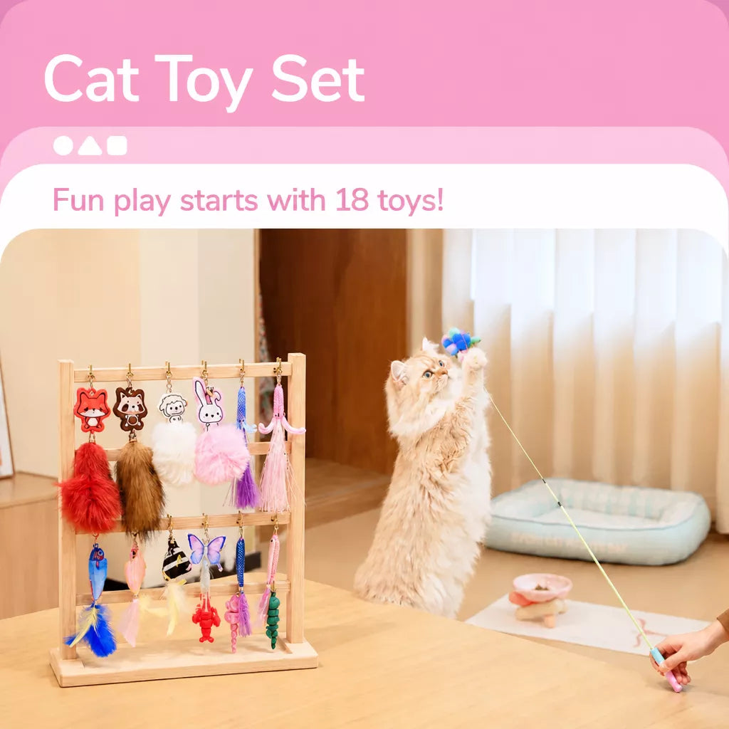 Retractable Cat Teaser Wand with Replaceable Attachments
